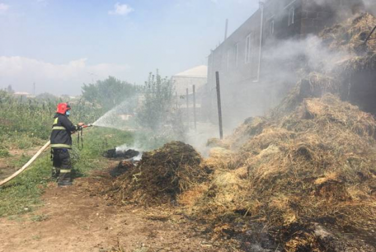 Արգավանդ գյուղում այրվել է մոտ 350 հակ անասնակեր