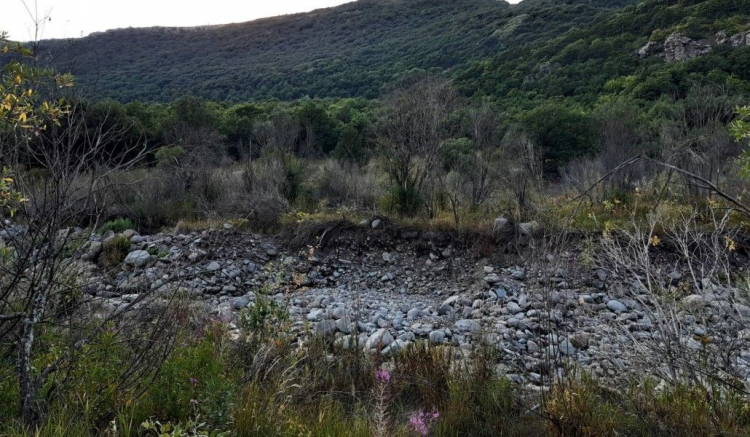 ՀԷԿ-երը շարունակում են ոչնչացնել մեր գետերը․ ՀԲՃ (տեսանյութ)