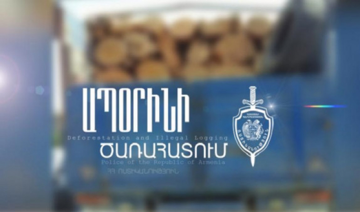 Փայտանյութով բեռնված մեքենան տեղափոխվել է հատուկ պահպանվող տարածք