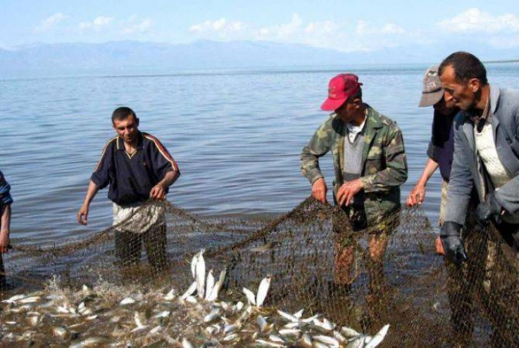 Սևանա լճում ձկնորսությամբ զբաղվողները կտուգանվեն պայմանագրեր չունենալու դեպքում