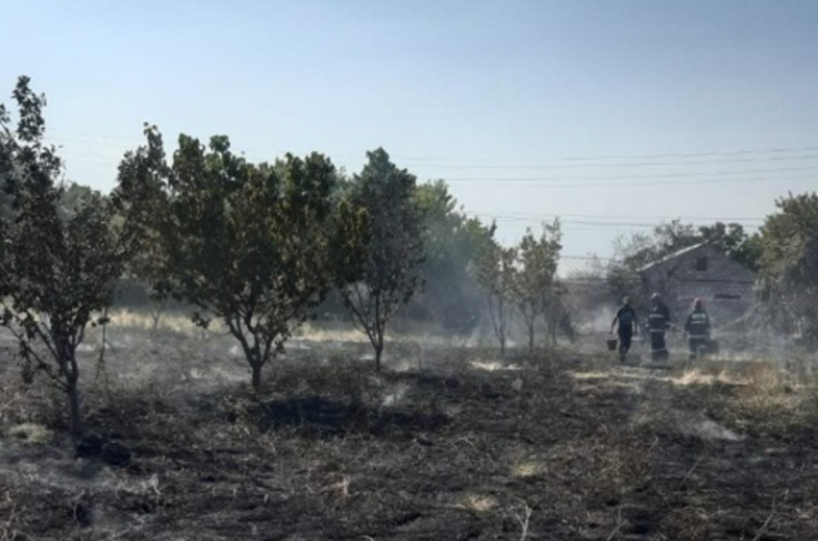 Այնթապ գյուղում ծառեր են այրվել