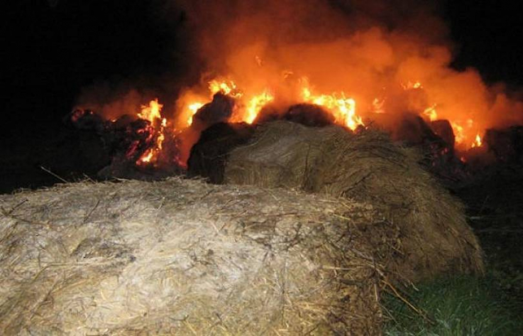 Շենկանի գյուղում հրդեհի հետեւանքով այրվել է մոտ 270 հակ անասնակեր