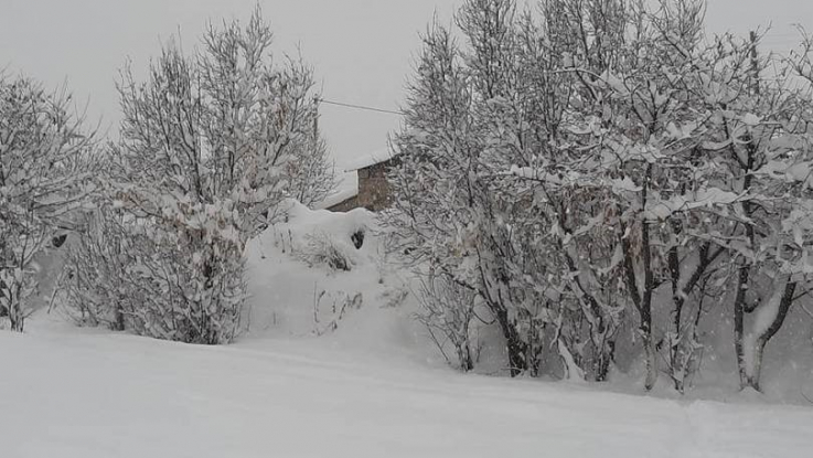 Փետրվարը սկսվել է անոմալ բարձր ջերմային ֆոնով. առաջիկա օրերին այն ավելի կբարձրանա  