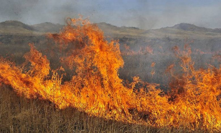 Տափերական գյուղում այրվել է մոտ 10 հա խոտածածկ տարածք