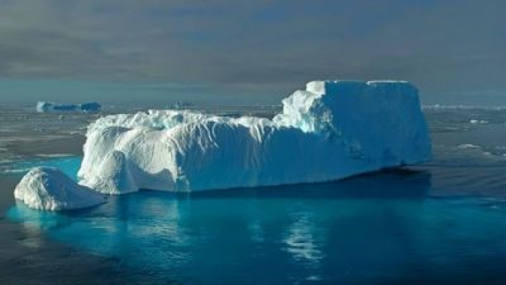 Գիտնականները Անտարկտիդայի սառցադաշտի տակ տարօրինակ կենդանիներ են գտել