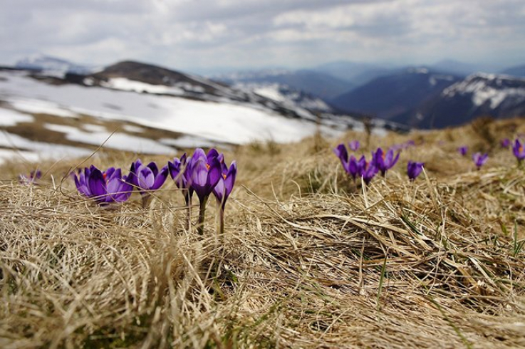 Ինչ եղանակ է սպասվում առաջիկա օրերին