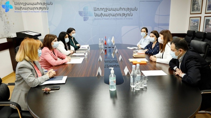 Հայաստանը շուտով կունենա վերարտադրողական առողջության նոր ռազմավարություն. Ավանեսյան