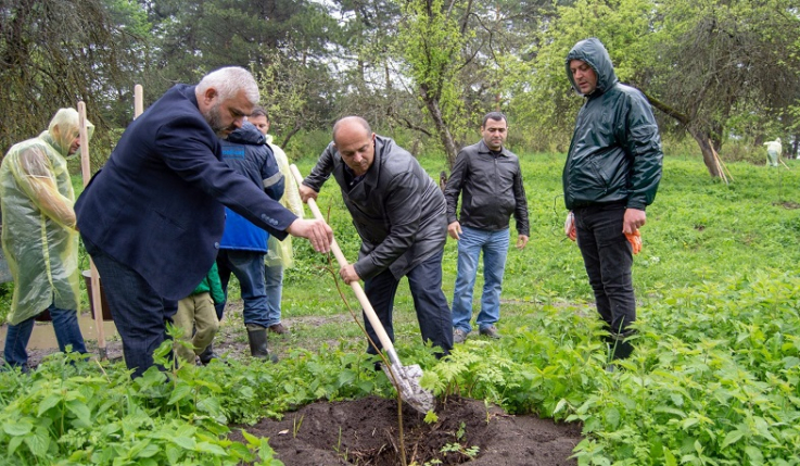 Կողբի «Զիկատար» պետական արգելավայրում տնկվել է շուրջ 7000 ծառ