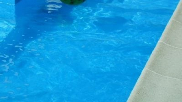 Մայրը լողավազանի մեջ հայտնաբերել է մանկահասակ երեխայի խեղդամահ եղած դին