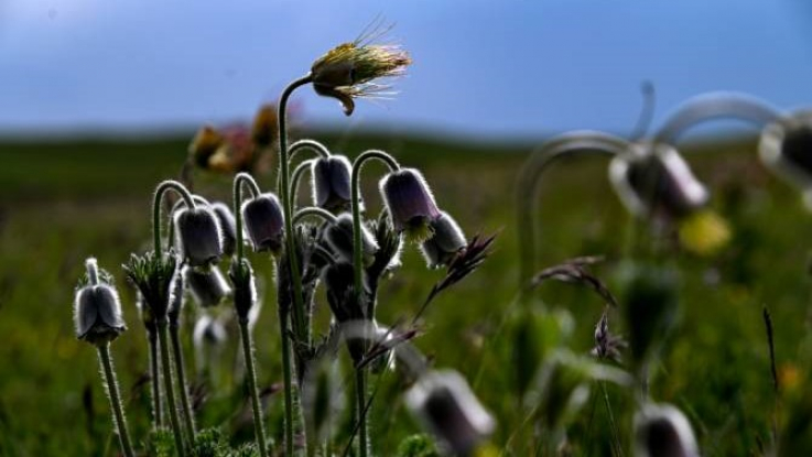 Օդի ջերմաստիճանը աստիճանաբար կբարձրանա