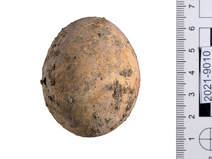 Իսրայելում 1000 տարվա հնության հավի ամբողջական ձու է հայտնաբերվել 