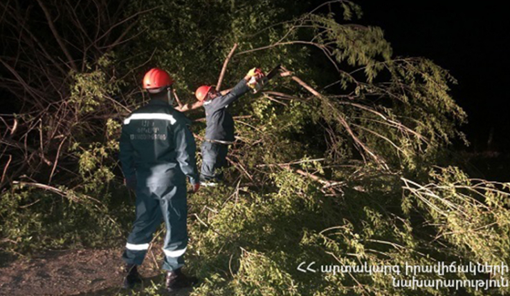Բաղրամյան պողոտայում ուժեղ քամու հետևանքով ծառը կոտրվել և ընկել է ճանապարհի երթևեկելի հատվածում