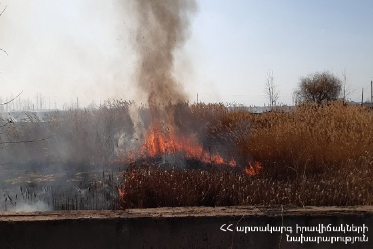 Գառնի գյուղում այրվել է մոտ 20 հա խոտածածկույթ