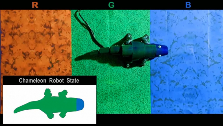 Կորեացի ֆիզիկոսները ռոբոտ-քամելեոն են ստեղծել