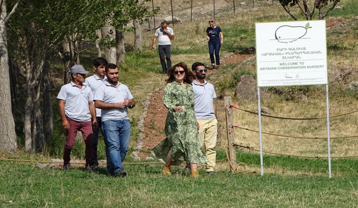 Տանձենու վտանգված տեսակների պահպանությունը և կենսունակության ապահովումը Հայաստանում