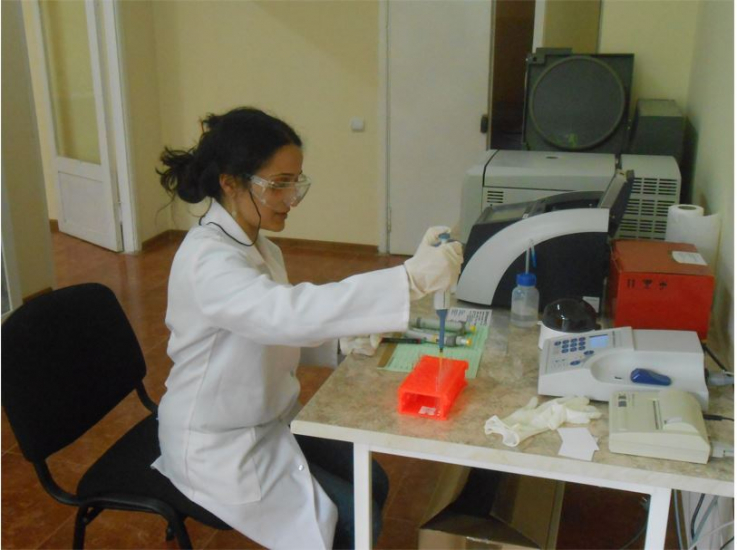 ԳԱԱ ֆիզիոլոգիայի ինստիտուտի գիտնականները ստացել են գյուրզայի խայթոցների դեմ հակաթույն