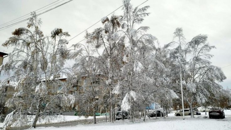 Խաբարովսկի երկրամասի երկու բնակավայրերի բնակիչները ցիկլոնից հետո մնացել են առանց լույսի