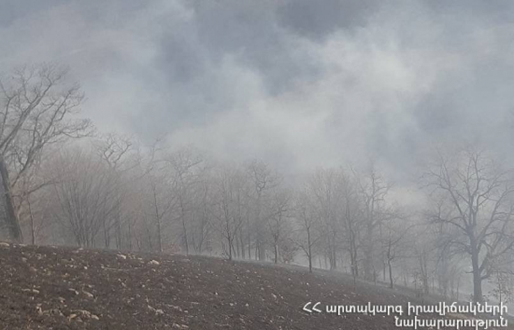 «Դիլիջան ազգային պարկի» տարածքում բռնկված հրդեհը մարվել է. այրվել է 5000 քմ անտառածածկ տարածք