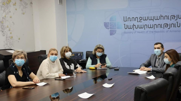 Հայ և վրացի գործընկերները կիսվել են COVID-19-ի դեմ պայքարի իրենց փորձով