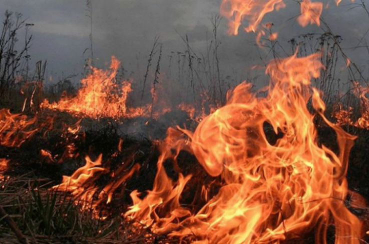 Սուրենավան գյուղի մոտակայքում մոտ 15 հա եղեգնուտ է այրվել