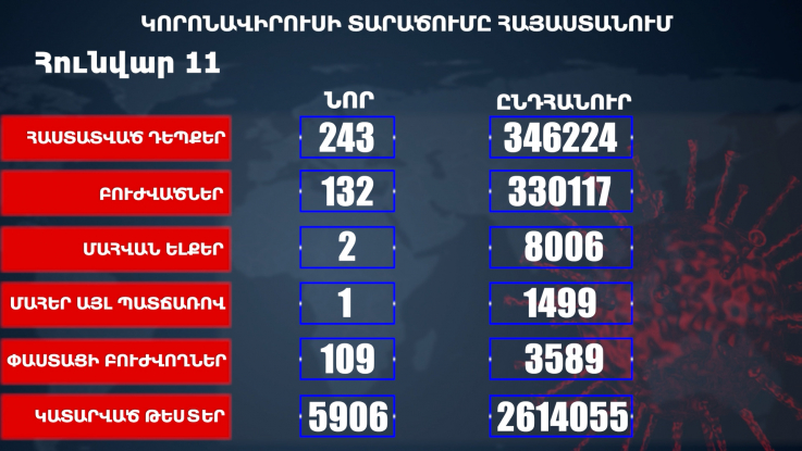 Հաստատվել է կորոնավիրուսի 243 նոր դեպք, առողջացել 132 քաղաքացի