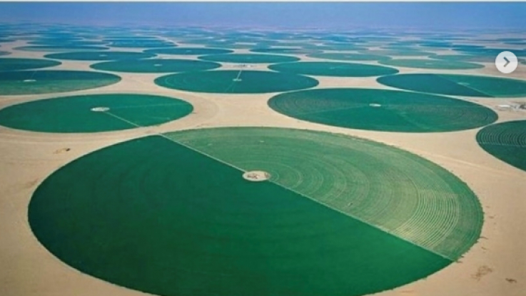 Այս շրջանակները Սաուդյան Արաբիայի գյուղատնտեսական կանաչ դաշտերն են 