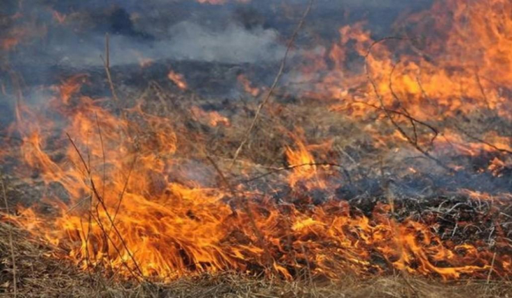 Լոռու մարզի Մեծավան համայնքի մոտակայքում 15 հա խոտածածկույթ է այրվել