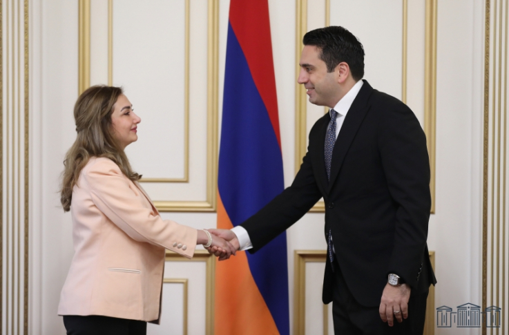 Ալեն Սիմոնյանը և Սիրիա-Հայաստան բարեկամական խմբի նախագահն անդրադարձել են տարածաշրջանում տիրող իրավիճակին