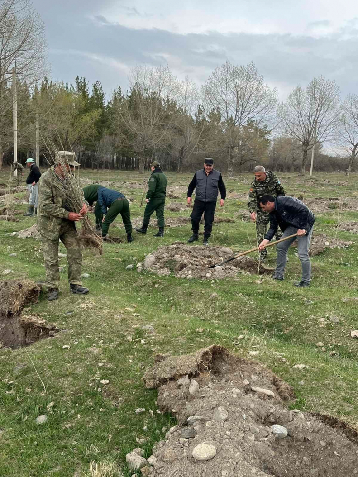 «Սևան» ազգային պարկում մեկնարկել է ծառատունկ