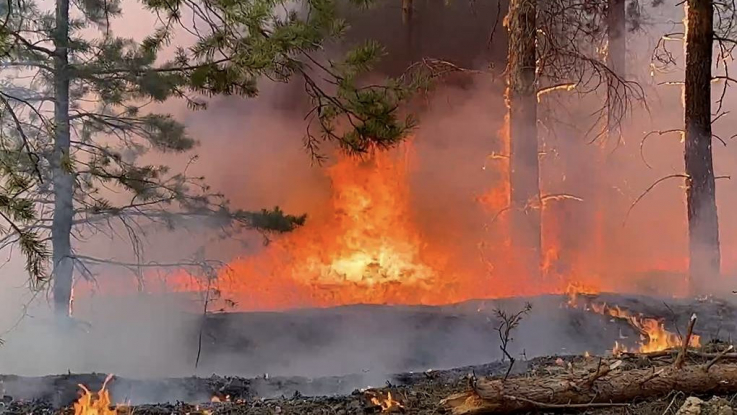 Կրասնոյարսկի երկրամասում հրդեհների զոհերի թիվը հասել է 19-ի