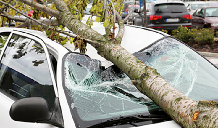 Երևանում ծառի ճյուղը կոտրվել և ընկել է կայանած ավտոմեքենաների վրա