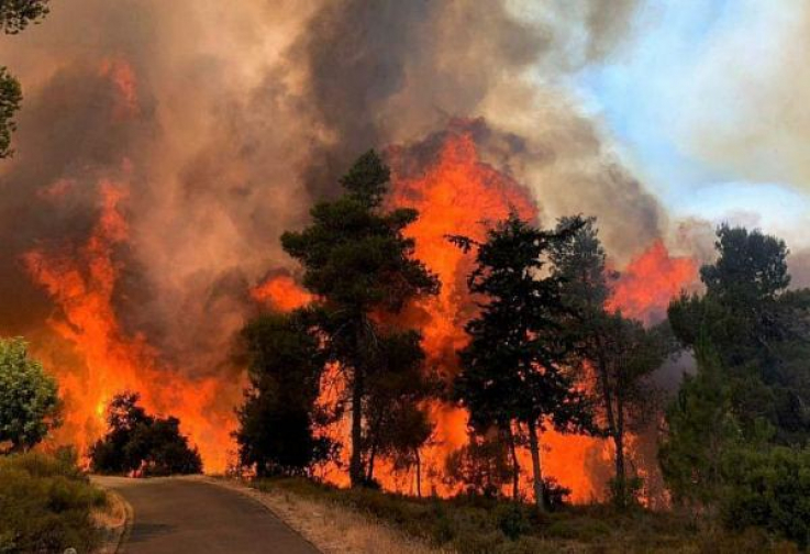 Մարոկկոյի հյուսիսում հրդեհները ոչնչացրել են մոտ 9,2 հազար հեկտար անտառ