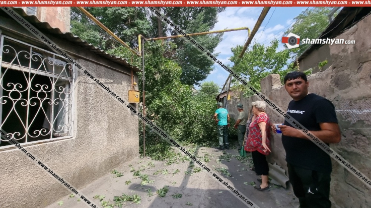 Երևանում կոտրված ծառը վնասել է գազախողովակներն ու էլեկտրալարերը, փակել ճանապարհը