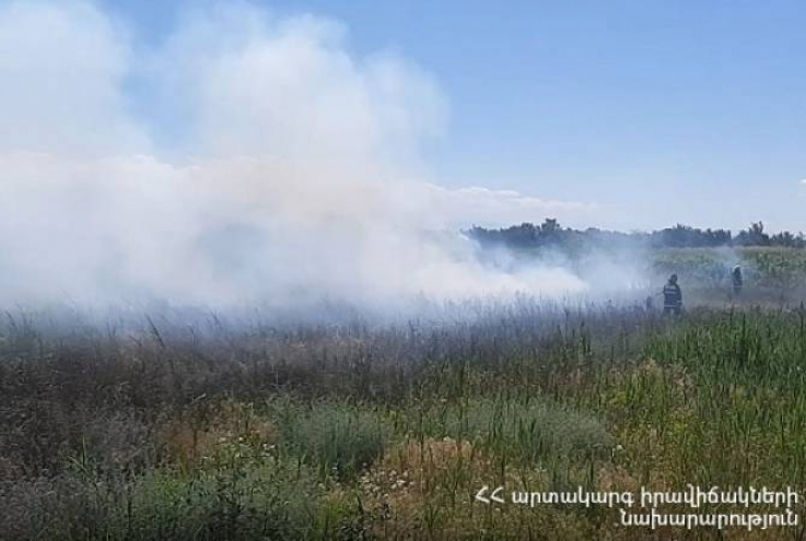Շիրակի մարզի Գուսանագյուղ բնակավայրի մոտ այրվել է մոտ 11 հա խոտածածկույթ և մոտ 14 հա հնձած արտ