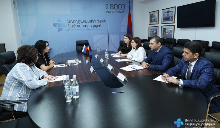 Քննարկվել է հայ-ռուսական համագործակցությունը՝ գլխուղեղի կաթվածների բուժման ծրագրից մինչև ուռուցքաբանություն