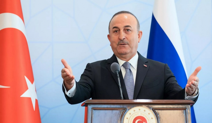 Չավուշօղլուն Ֆրանսիայում թուրքական համայնքին հրահրում է հայկական սփյուռքի դեմ