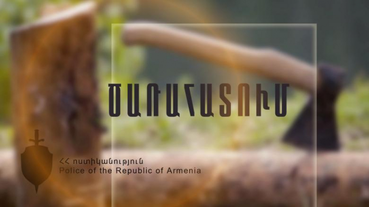 Գուգարքի ոստիկանները 18 կաղնու ապօրինի հատման դեպք են բացահայտել