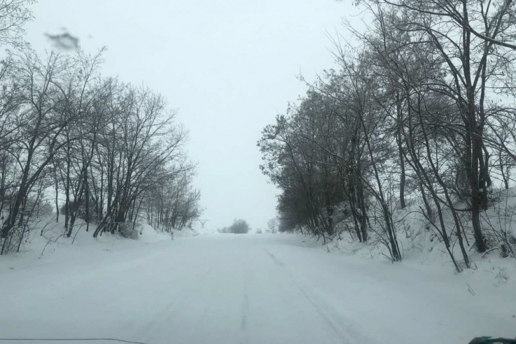 Սյունիքի բարձրադիր գոտիներում մառախուղ է