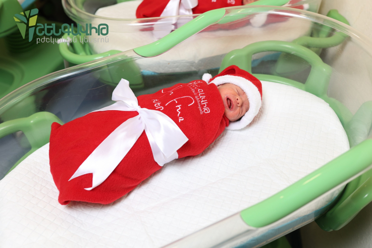 Դեկտեմբերի 28-ին Երևանում ծնվել է 48 երեխա