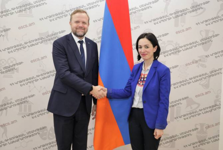 Ժաննա Անդրեասյանը ԵԽ ներկայացուցիչների հետ քննարկել է համագործակցության ծրագրերը