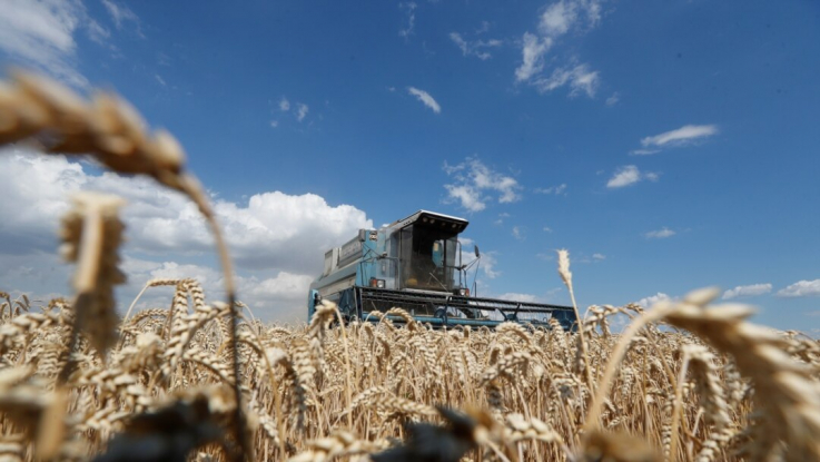 Հացահատիկի բերքի աճի մակարդակով Հայաստանը ԵԱՏՄ-ում առաջատար դիրքեր է գրավել