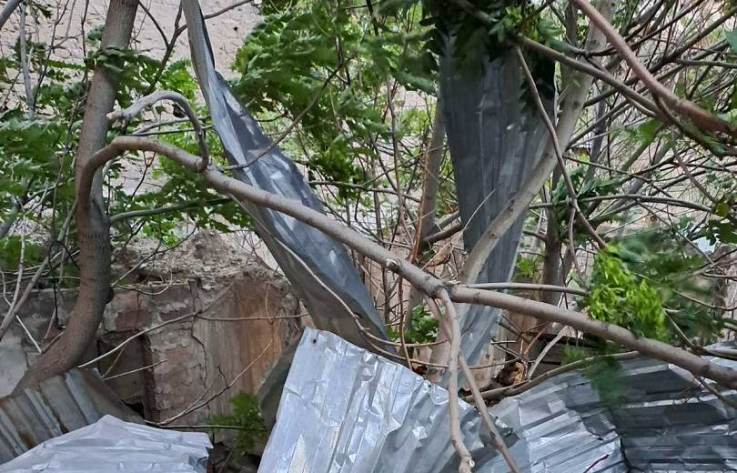 Ուժեղ քամին Երևանում ու Կոտայքում ավերածությունների պատճառ է դարձել