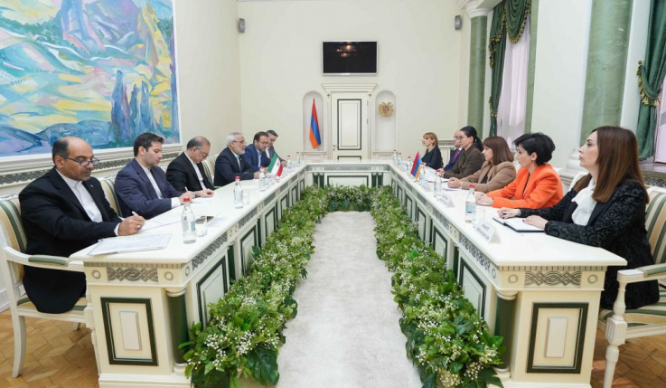 Աննա Վարդապետյանն իրանցի գործընկերներին է ներկայացրել ԼՂ ժողովրդի դեմ Ադրբեջանի կողմից սանձազերծված ագրեսիայի հետևանքները