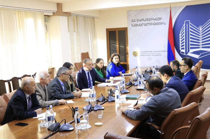 Քննարկվել են Հայաստանում ջրածնի արտադրության, ամոնիակի վերածման, պահեստավորման, փոխադրման հնարավորությունները