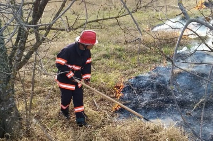 Այրվել է խոտածածկույթ