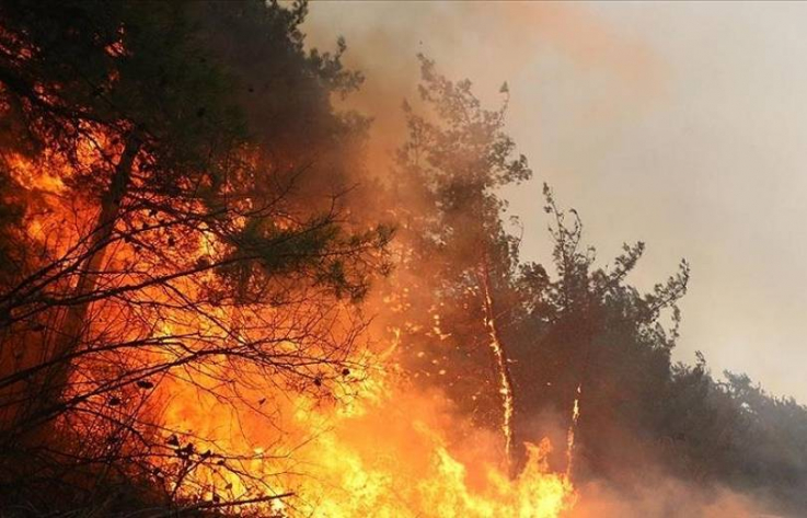 Թուրքիայում անտառային հրդեհներն ընդգրկել են 3 նահանգ
