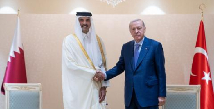 Թուրքիայի նախագահը Աստանայում ՇՀԿ շրջանակներում հանդիպել է Կատարի էմիրի հետ
