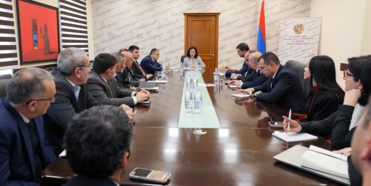 Քննարկվել են 2025 թվականին Հայաստանում անցկացվելիք մարզական միջոցառումների կազմակերպմանը վերաբերող հարցեր