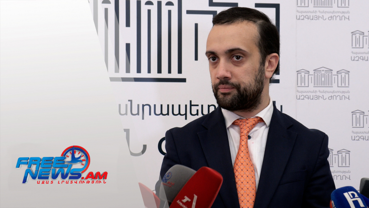 Իշխանությունը նոր լծակի կարիք չունի․ Իոաննիսյան