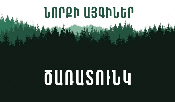 Նորքի այգիների վերականգնման նպատակով նոյեմբերի 16-ին ծառատունկ է կազմակերպվելու